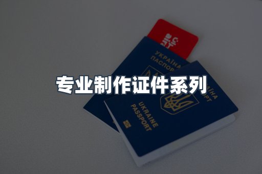专业制作证件系列